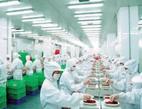 四川廚房設備制造廠商告訴你中央廚房是如何做死的