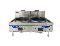 新款節能雙大鍋灶